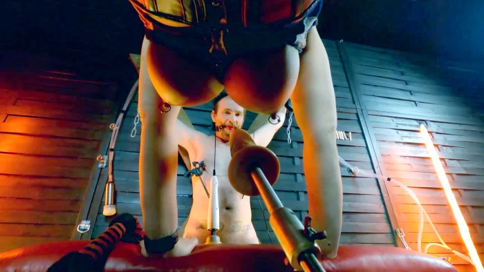 Bdsm Milkmaide - MONICA MILF - MP4