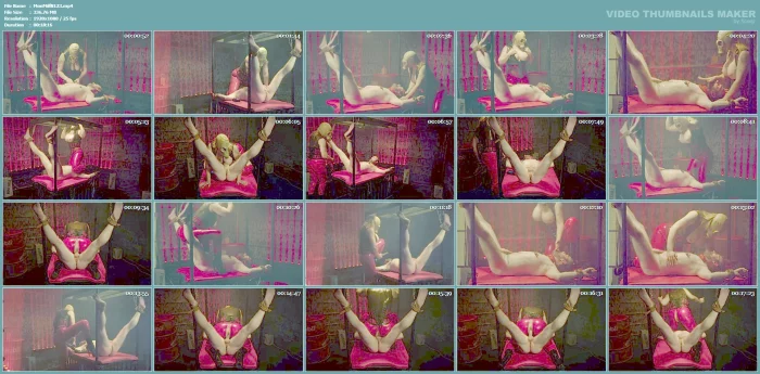 The Unknown - MONICA MILF - MP4