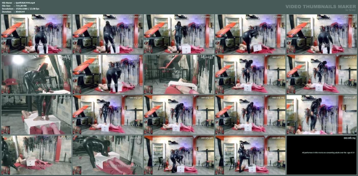 Savage Cock Box Sissy Cbt Trampling - QUEEN OF CBT / GODDESS KIMBERLEY - MP4