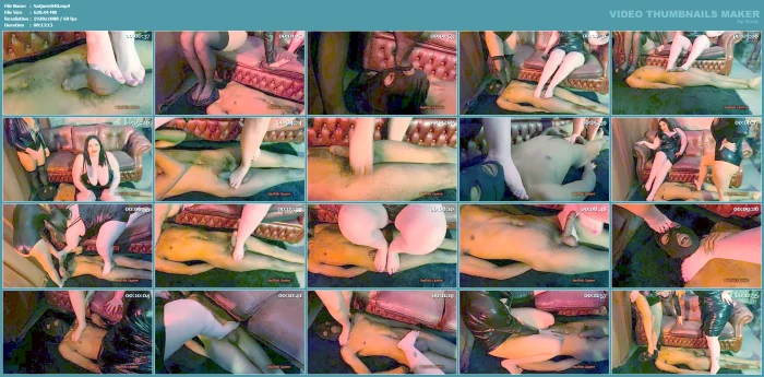 Goddess Aveena & Miamilf - Flattened Footstall - SADISTIC QUEENS / SQUISHYSAX - MP4