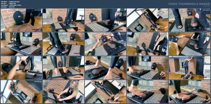Miss Courtney - Cockbox Destruction - SADISTIC QUEENS / SQUISHYSAX - MP4