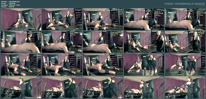 Lady Lilith - The Aptitude Test 7 - SADO-LADIES - MP4