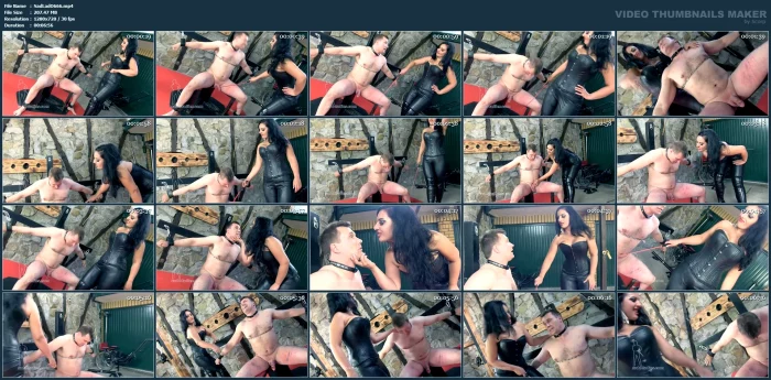 Mistress Ezada - Red Cane Red Cock - SADO-LADIES - MP4