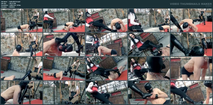 Mistress Whiplash - The Stress Test - SADO-LADIES - MP4