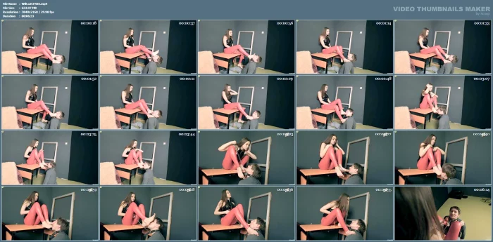 Princess Ava - Feet Goddesses Foot Worship, Foot Licking, Spitting - WILDCATS - MP4