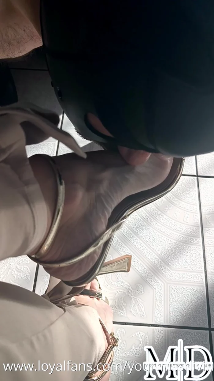 They're Supposed To Be Shiny, Dogs - YOURMISSDIVINE - MP4
