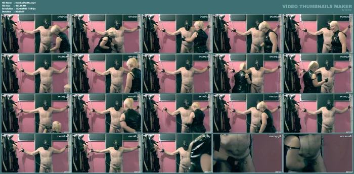 Cock Is Nicely Slapped With The Slapper - DOMINA LADY SUSAN - MP4