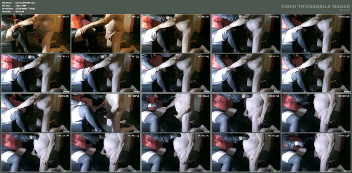 Dina Toerner - The Slut Has To Obediently Masturbate For The Mistress In Stockings - DOMINA LADY SUSAN - MP4