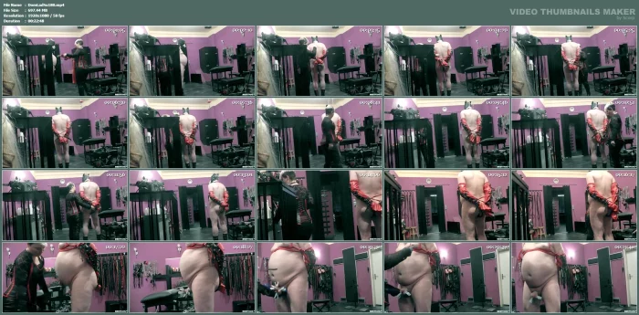 Submissive With Dog Mask And Arm Binder. Bondage, Clamps, And Light Spanking - DOMINA LADY SUSAN - MP4