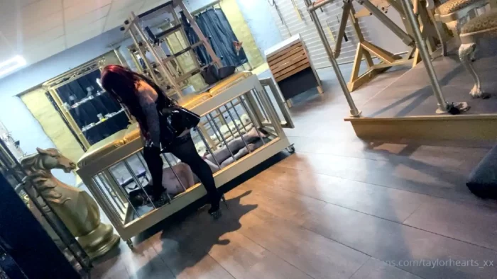 Caged Weak Boy - GODDESS TAYLOR HEARTS - MP4