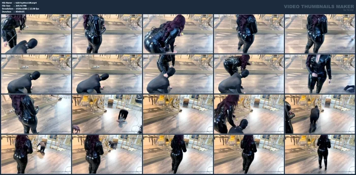 Play Fetch With Pup - GODDESS TAYLOR HEARTS - MP4