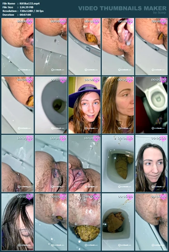 Three Hairy Huge Logs In Public Toilets - KITTY SKATT - MP4