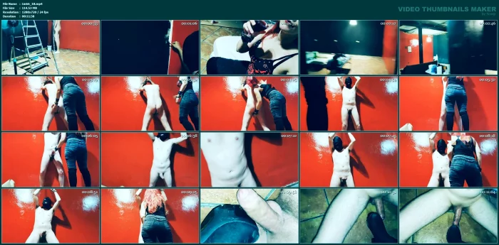 My Painter Dog Finishes The Walls And I Finish His Balls - LINAT666 FEMDOM BDSM MODEL - MP4