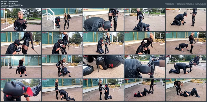 Venus Dog! Outdoor Training - MISS MILA - MP4