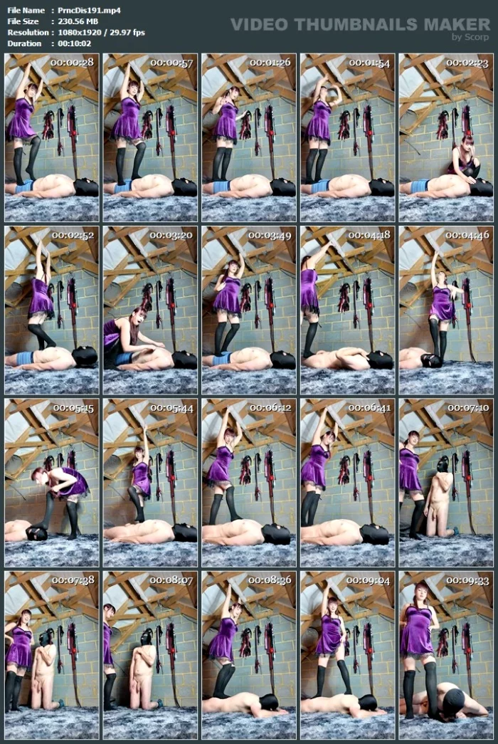 Knee High Socks Face Trample - PRINCESS DISS - MP4