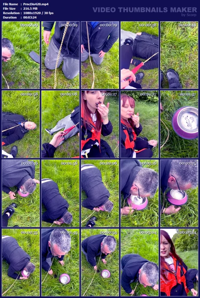 Walking, Human Ashtray, Leashed In Public With Princess Diss - PRINCESS DISS - MP4